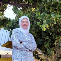 Hanaa Bahaaeldin, Master In Ism