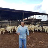Werllen Oliveira