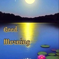 Anilkumar Raut