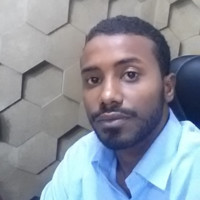 Mohammed Ezeldin Hassan