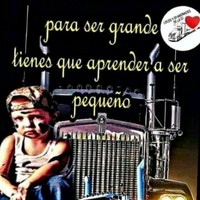 Demetrio Flores