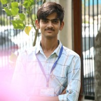 Krishna Rajput