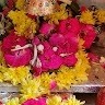 Sridevi Gorthi