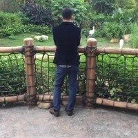 卢俊羽