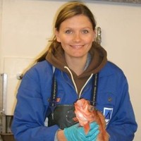 Merete Schøyen