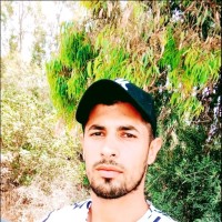 Bechir Ferjani