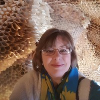 Rebecca Rowe