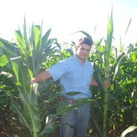 Guilherme Camoleze