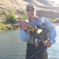 Tom Hoffmann