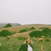 Morgan Hull