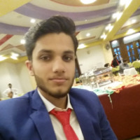 Muhammad Zain Ul Abidin