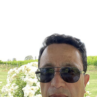 Hamed Mher