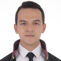 Tarik Arslan