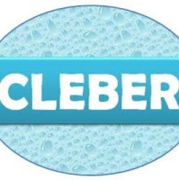Cleber De Araújo Arguelho