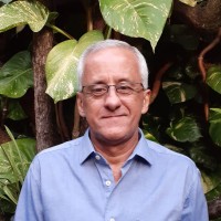 VALTER PALMIERI BOSCO