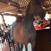 Sally Horse
