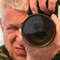 Rainer Bokelmann