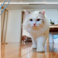 王银杰