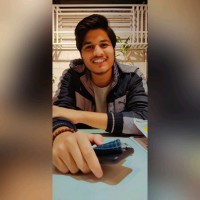 Kaushik Bisen