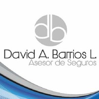 David A. Barrios L.