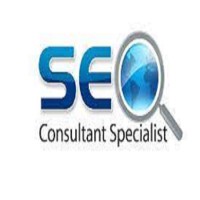 SEO Consultant