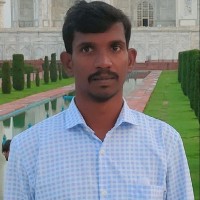 Panneerselvam M