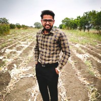Prasad Pandhare