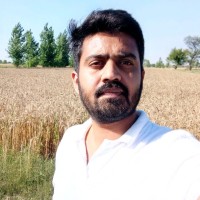 Muhammad Awais Qarni