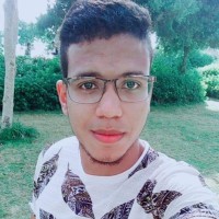 Mohamed Abdeltwab