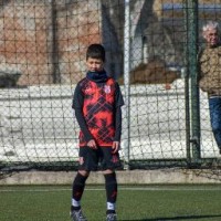 Pavle D.