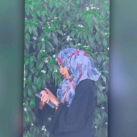 SAMRA ARSHAD