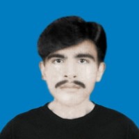 Habib Bhai