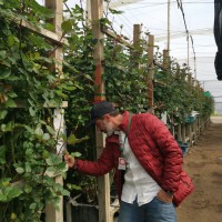 Igor Setién Fernández