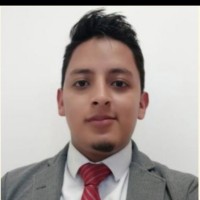 brayan guillermo niño pino