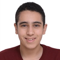 Youssef Lamei
