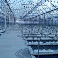 Virgilio Vazquez Burgos