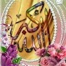 Muhammad Shakeel