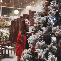 Phi Nguyen Thi Van