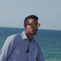 Gal Shamur