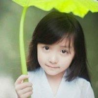 张晓立