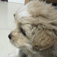 俞志刚