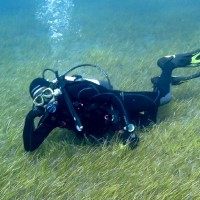 Gonzalo Torre-Marín