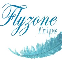 flyzone trips