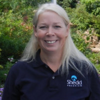 Tanya Salvey