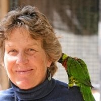 Fran Lambert