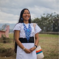 Ati villafaña torres