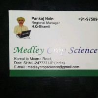 Pankaj Nain