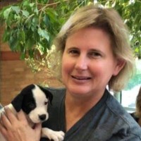 Jill Roehrl