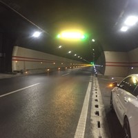 杨鸿宇