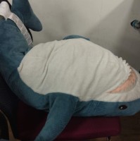 劉宇倫